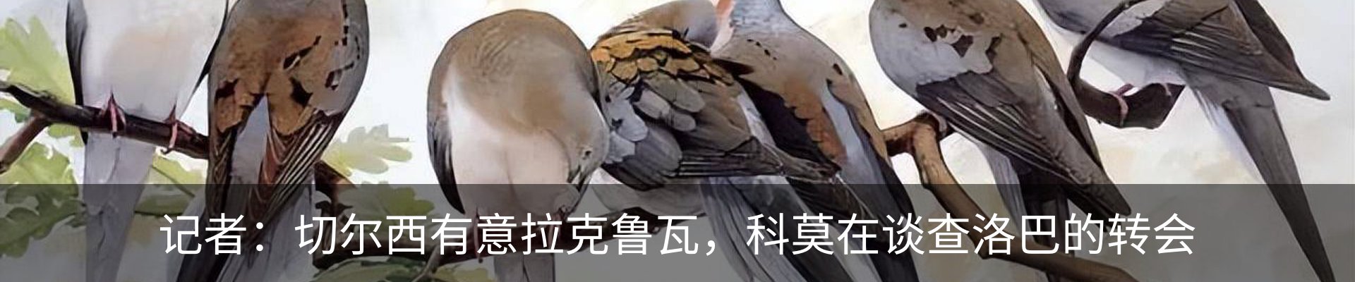 内页banner